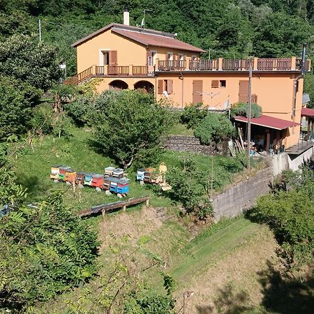 #Bordigona Hotel Carrodano Inferiore Bagian luar foto